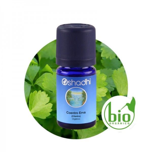 coentro-erva-cilantro-coriandrum-sativum-organico-oshadhi-oleo-essencial