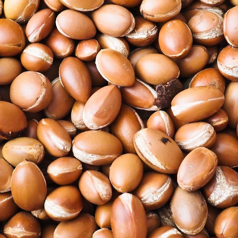 Argan