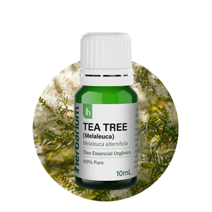 Óleo Essencial de Tea Tree (Melaleuca) Orgânico