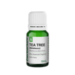 TEA_TREE