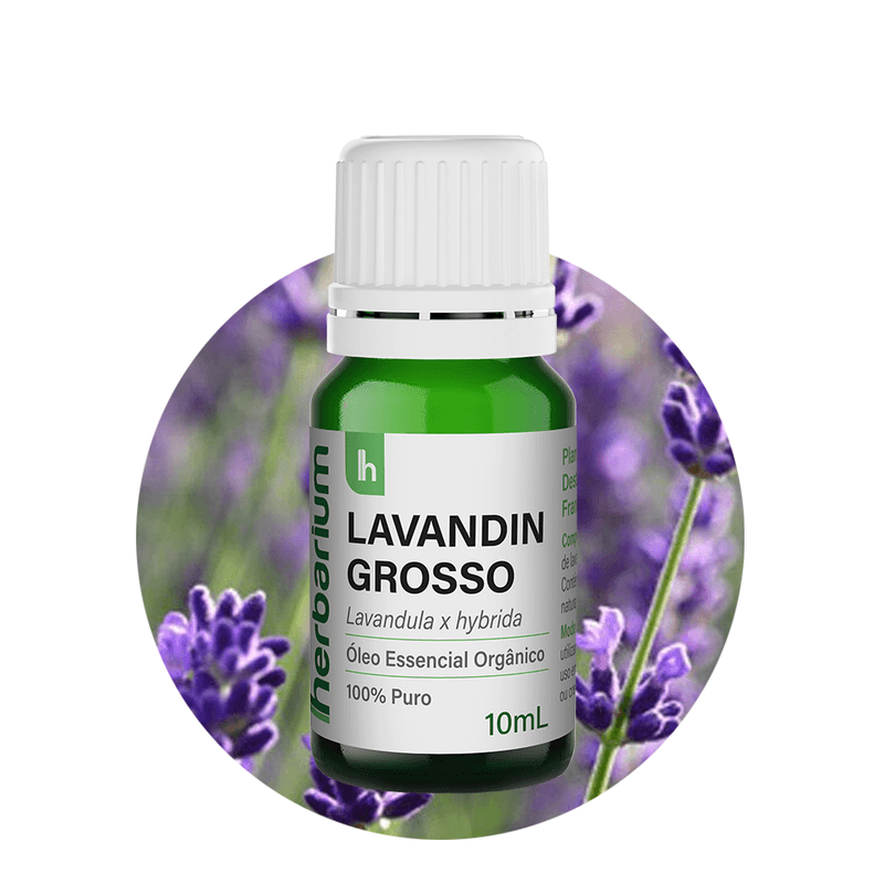 LAVANDIN_01