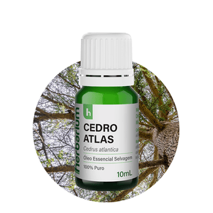 Óleo Essencial de Cedro Atlas Selvagem