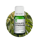 EUCALIPTO_CITRIODORA_01