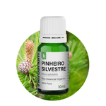 PINHEIRO_SILVESTRE_01