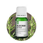 ALECRIM_01
